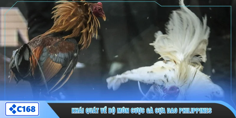 Khái quát về bộ môn cược gà cựa dao Philippines