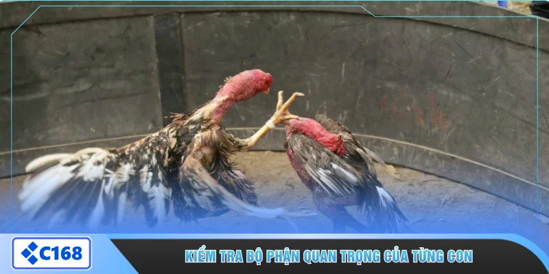 Kiểm tra bộ phận quan trọng của từng con